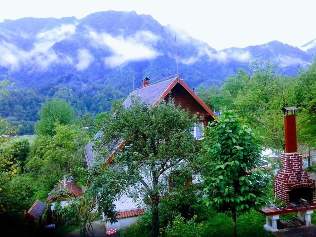 Casa COLT DE RAI - Ferienwohnung Brezoi