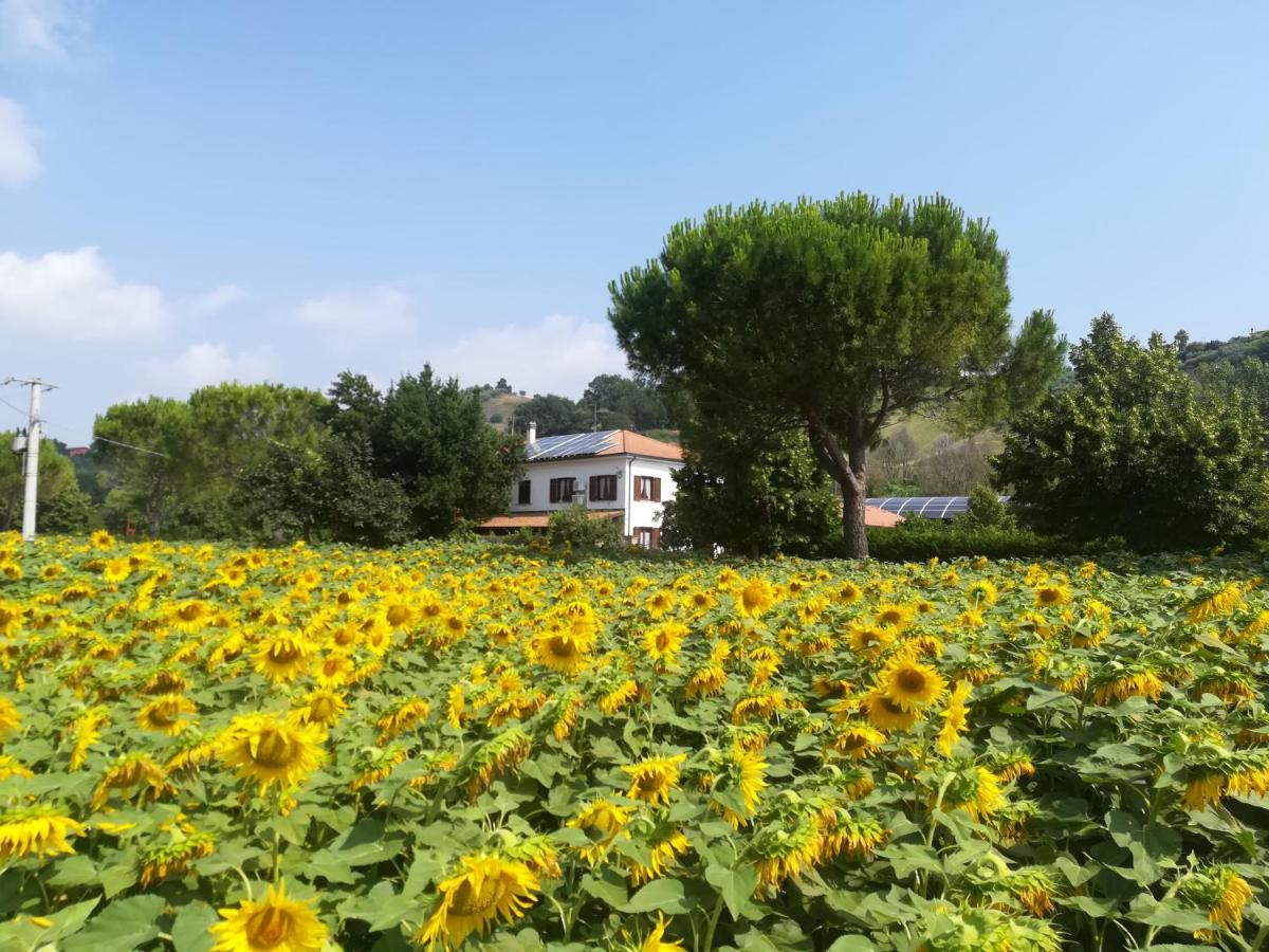 B&B Tortoreto Lido - Agriturismo Chicchirichì - Bed and Breakfast Tortoreto Lido