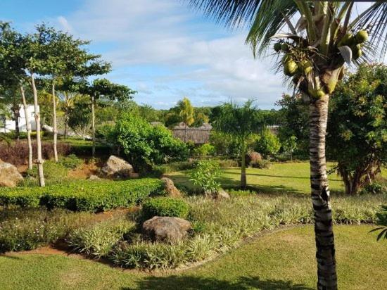 AZURI Serviced Garden Apartment - Bed and Breakfast Roches Noire