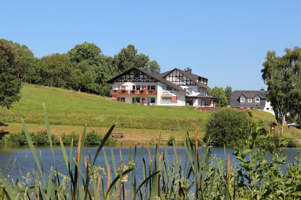 B&B Willingen - Haus am Stryckpark - Bed and Breakfast Willingen