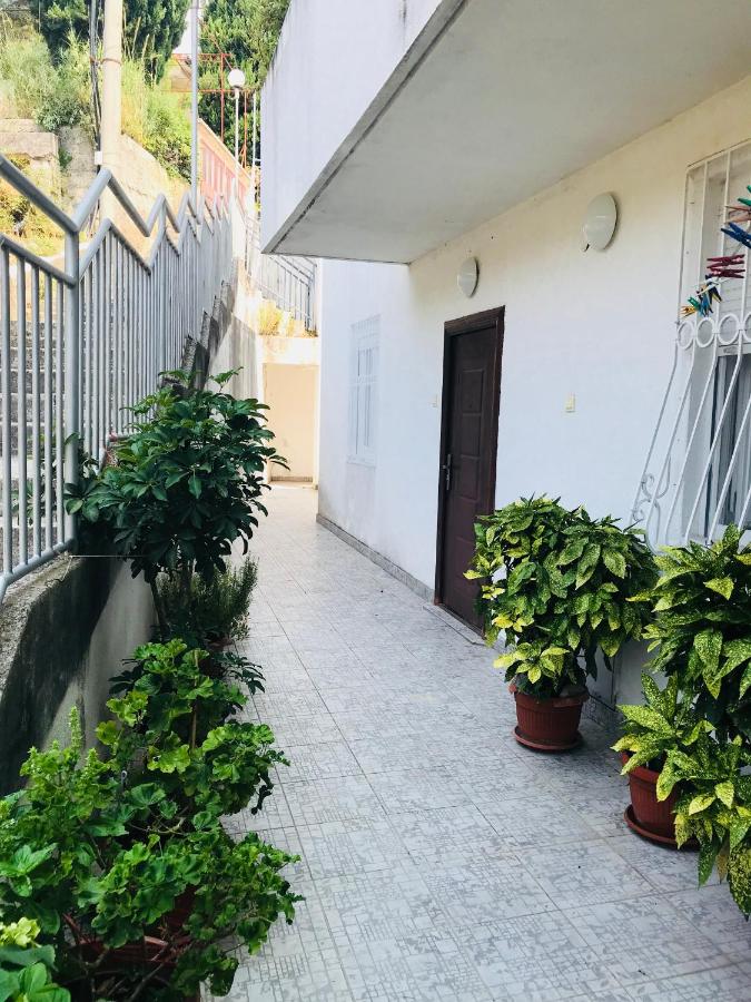 Apartman Turkovic - B&B