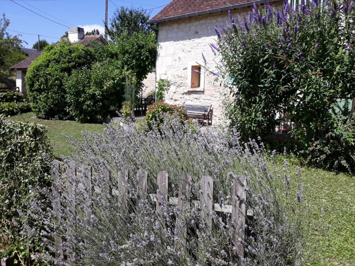 B&B Coussay-les-Bois - Le Misteflore - Bed and Breakfast Coussay-les-Bois