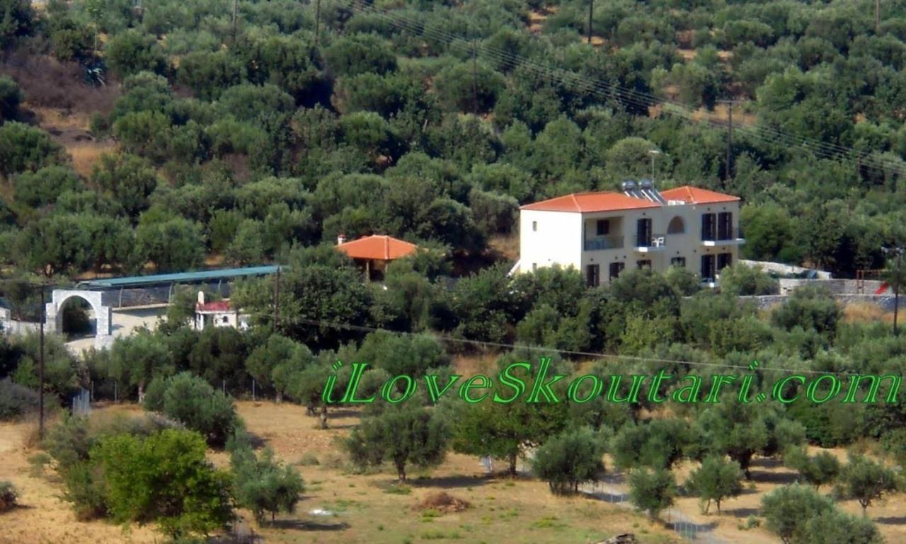 Domaine Papakonstantis Apartments To Let - B&B