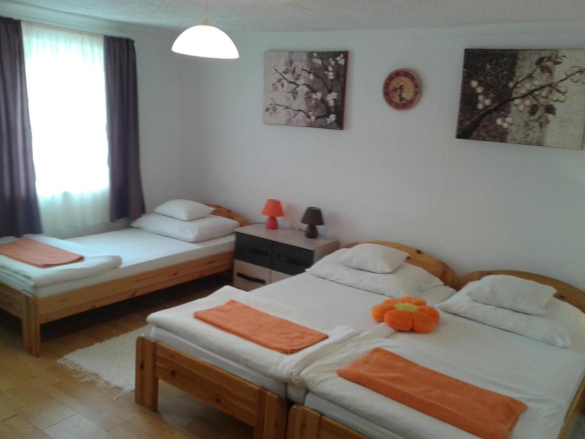 100 ÉVES NOSZTALGIA APARTMAN - B&B Kiszombor