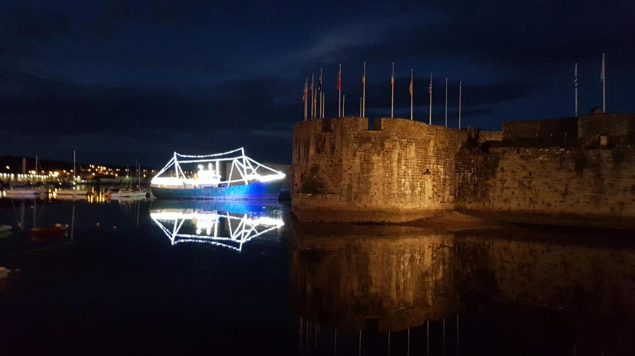 2 Maisons de vacances Sittelles Lodge - B&B Concarneau