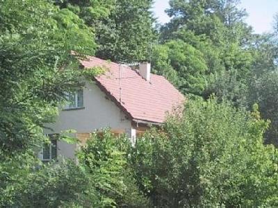77 Rue de la Bresse - B&B