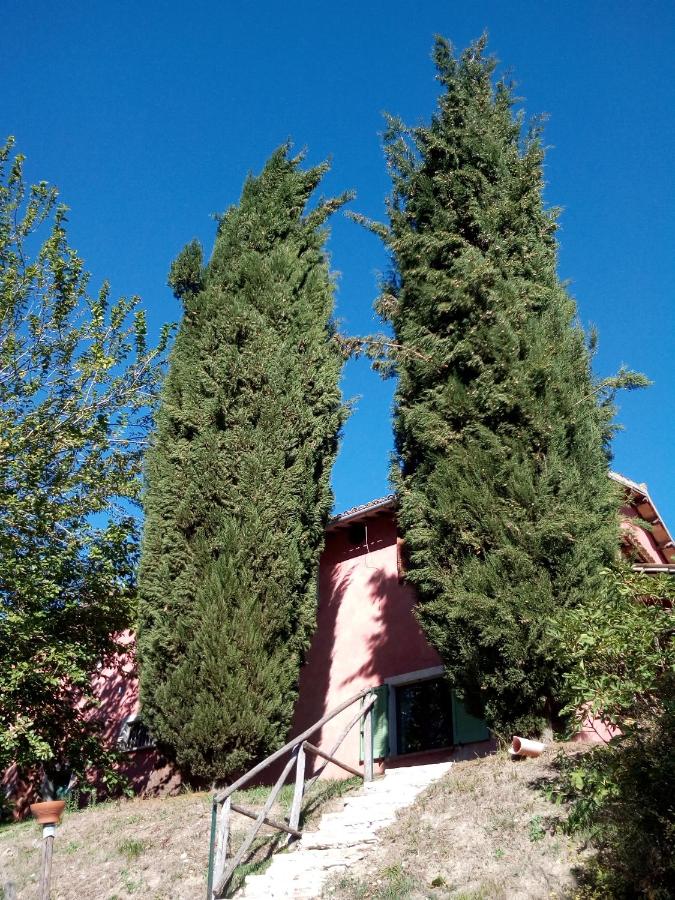 Colle Cornetto - B&B