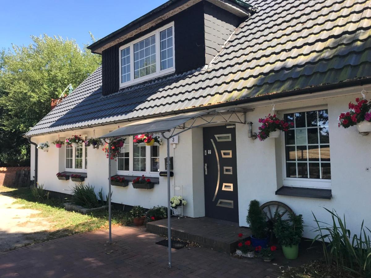 Borstel - Alte Schmiede - B&B