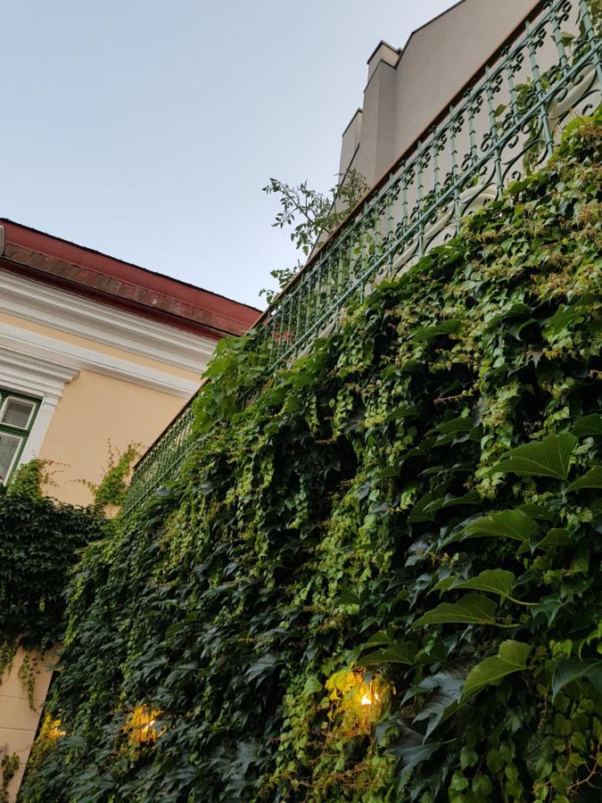 Villa Vodicka - Chambres d’hôtes