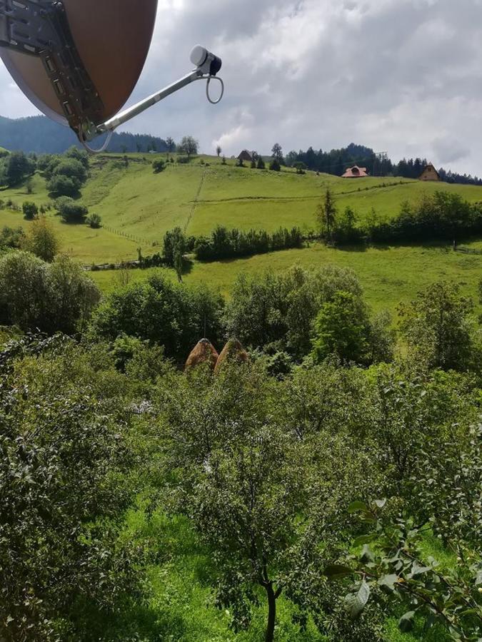 Vikendica NEVEN - B&B Zaovine