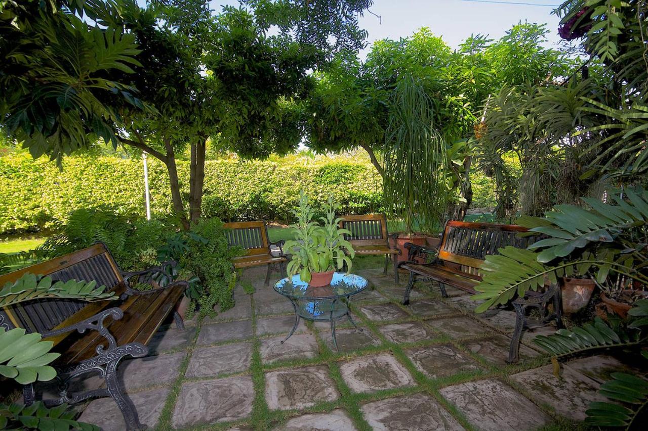 Kingston Cottage - Ferienwohnung Kingston