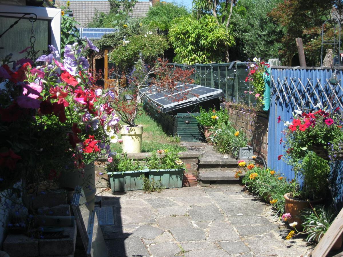 Perfect for Petersfield B&B - Bed and Breakfast