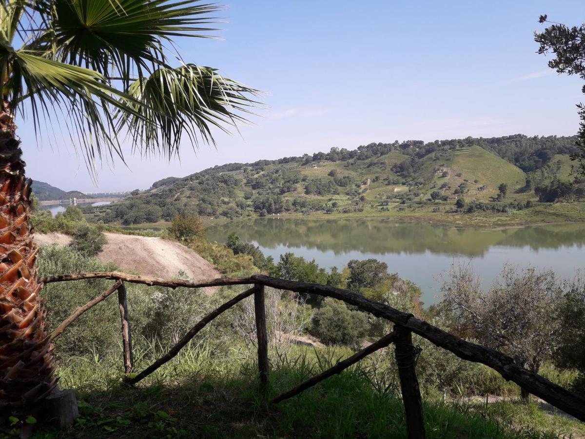 Villa chalet sul lago Angitola - B&B Monterosso