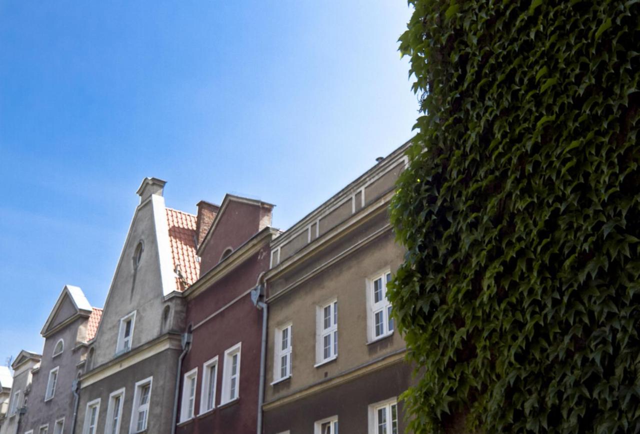 Classic Apartment with Private Sauna in Old Town - B&B