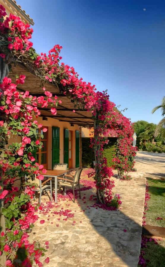 Bungalow mit Gartenblick