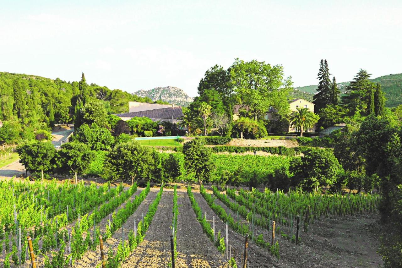 Château Haut Gléon - B&B