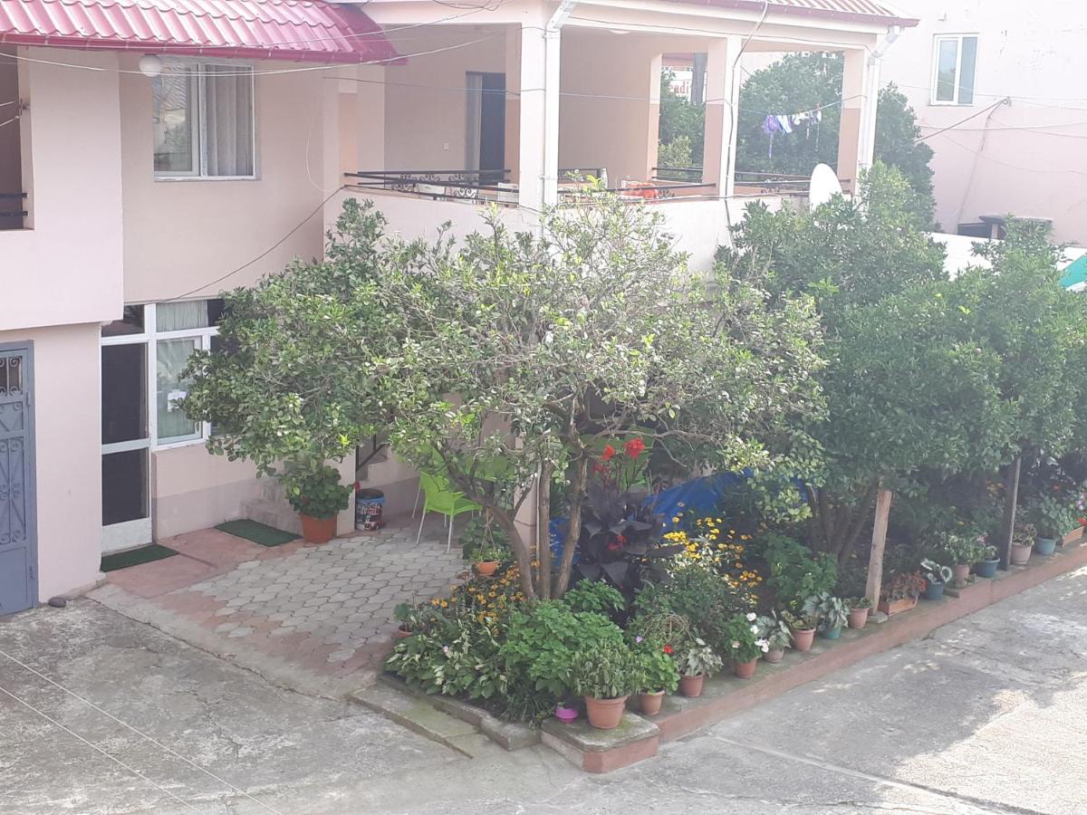 Guest House Roman/Gonio - Ferienwohnung