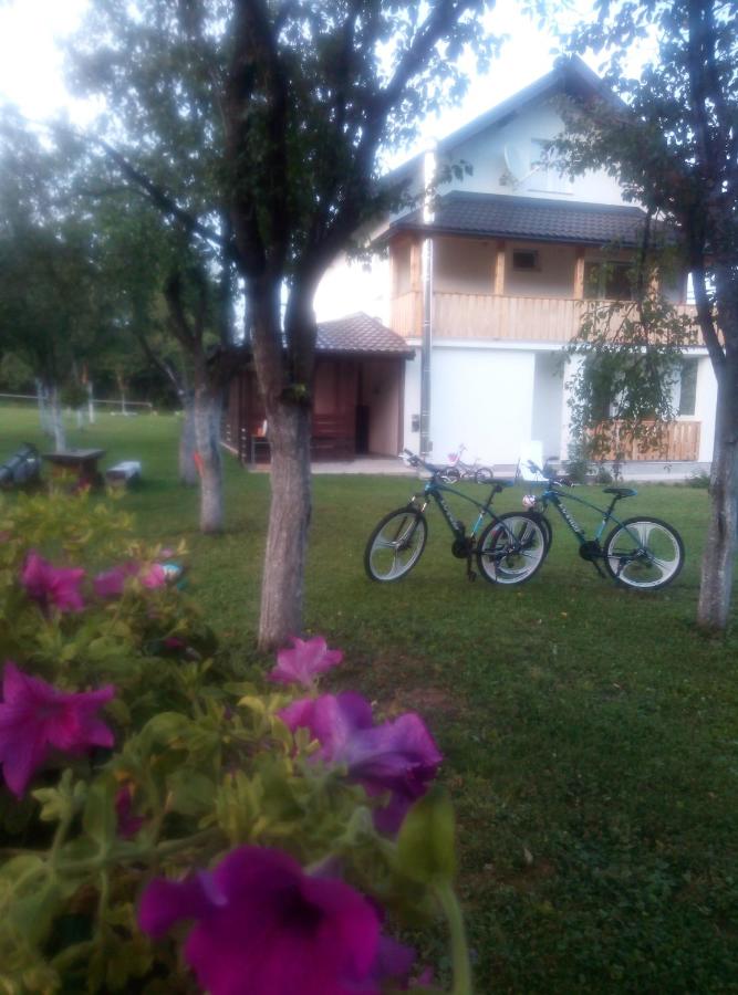 Apartments Paradise - Bed and Breakfast