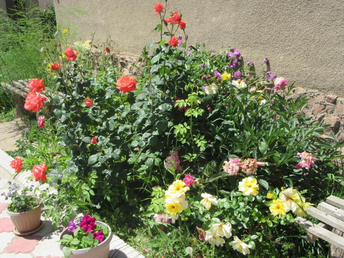 "Bilim" Guest House - Ferienwohnung