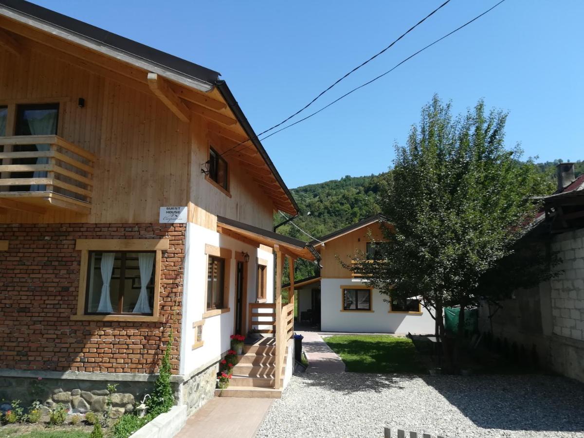 B&B Vişeu de Sus - Guest House Carpathia - Bed and Breakfast Vişeu de Sus