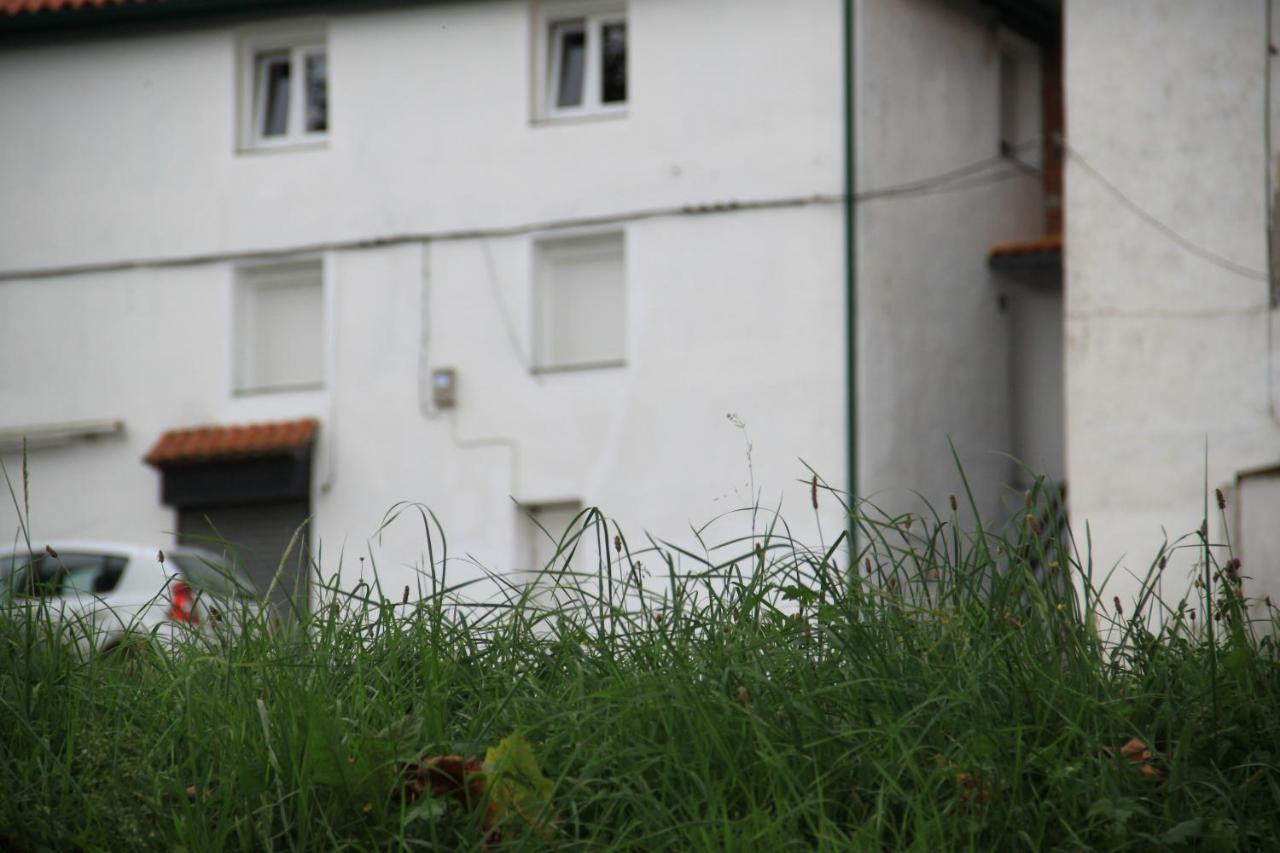 Apartamento Rural Zuri - Bed and Breakfast