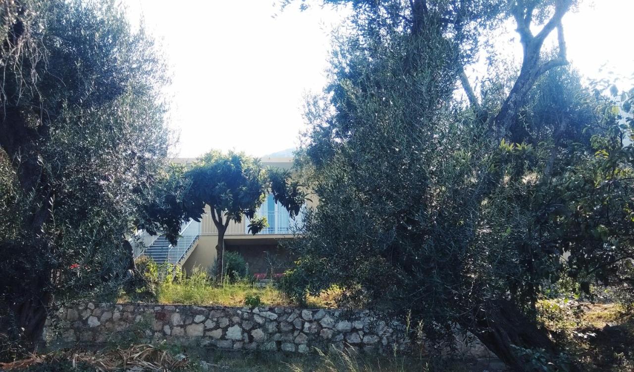 Barbara's Sea View Home - B&B