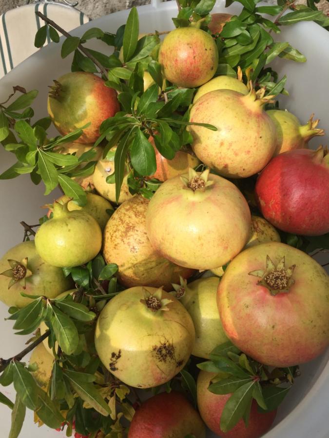 Casa Zuino - B&B Gargnano