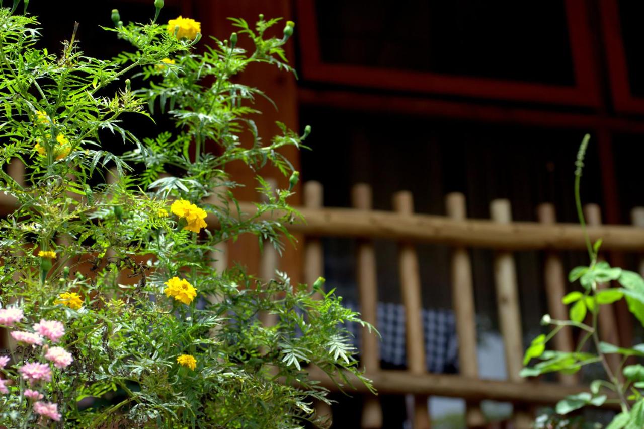 Ella Wood Cabin - B&B