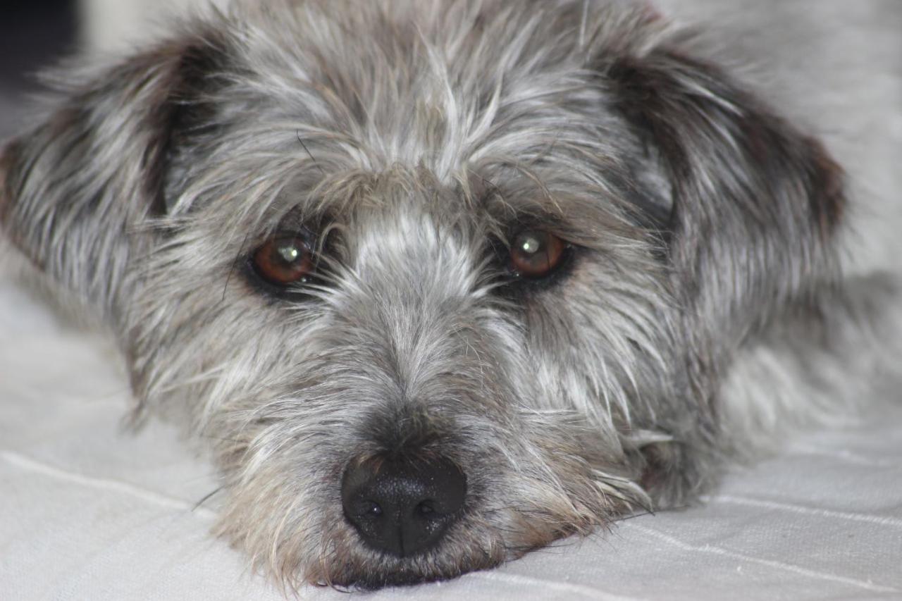 Tammwarftshof - B&B Pellworm