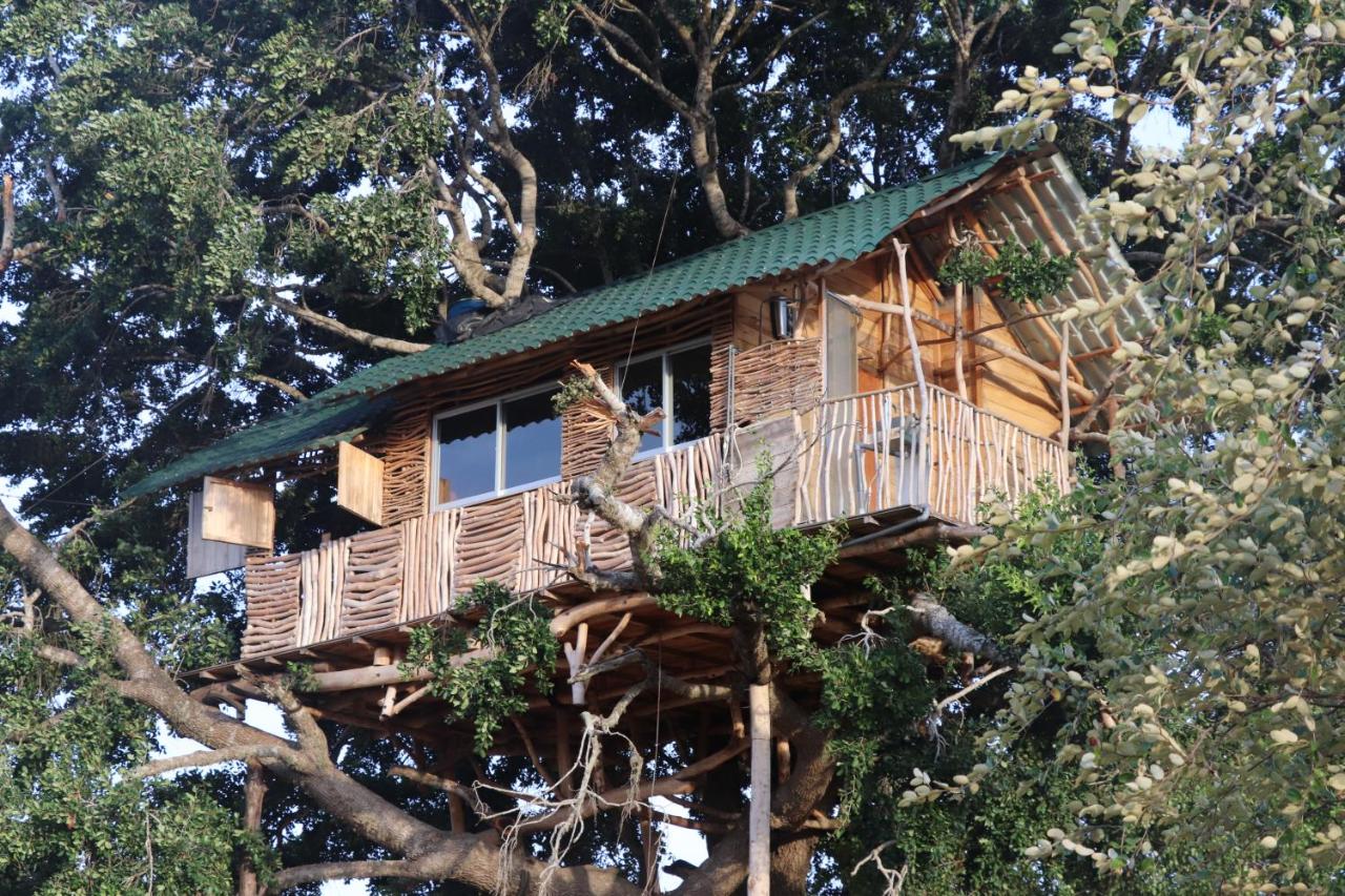 Yala Dream Park - Chambres d’hôtes Yala