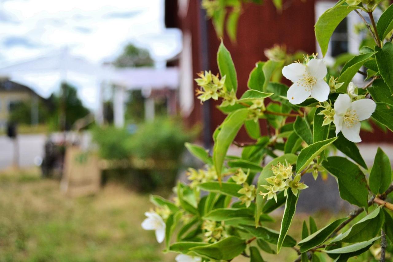 Sergel B&B Lindshammar - B&B