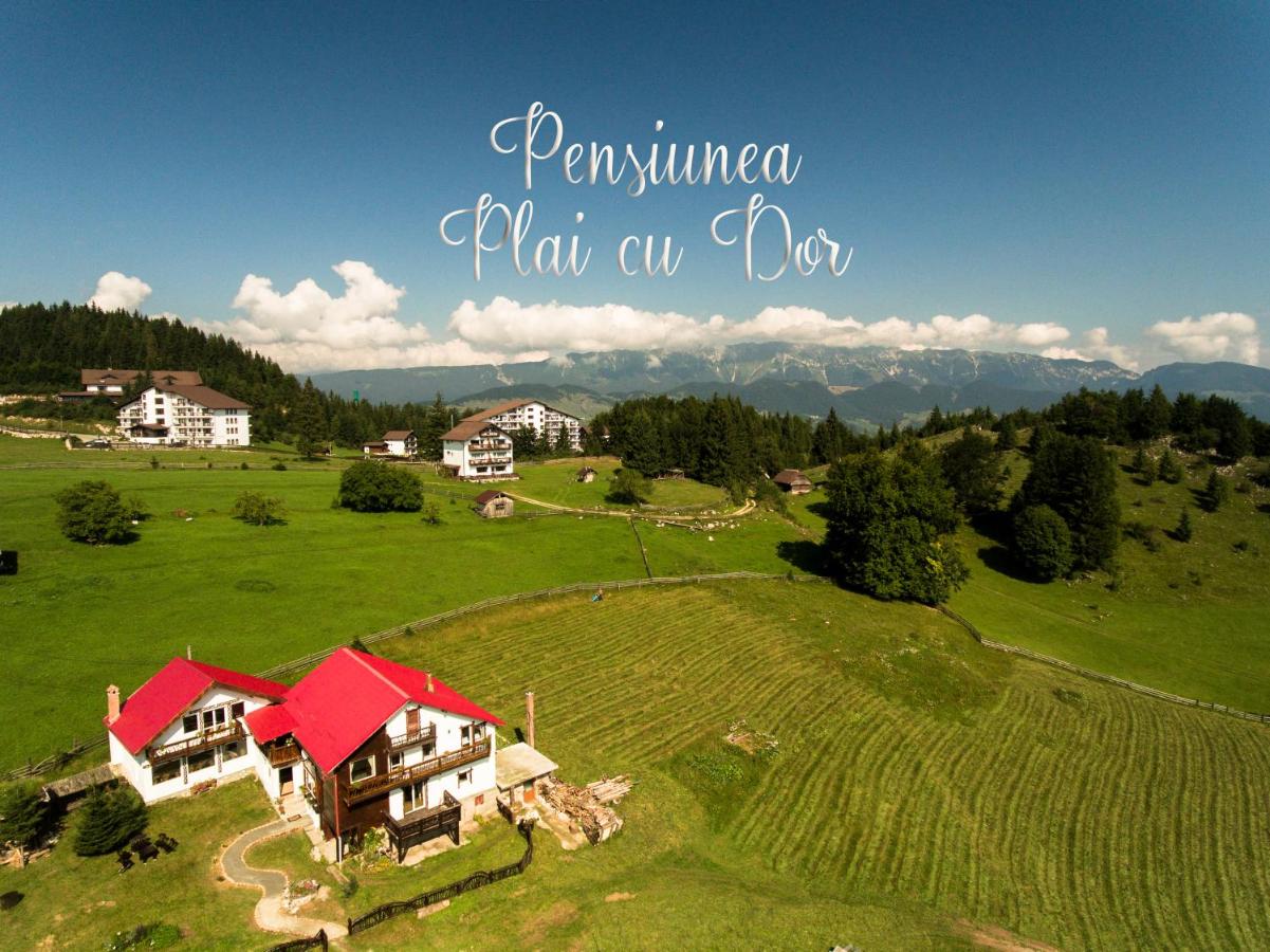 Plai cu Dor Fundata - Bed and Breakfast