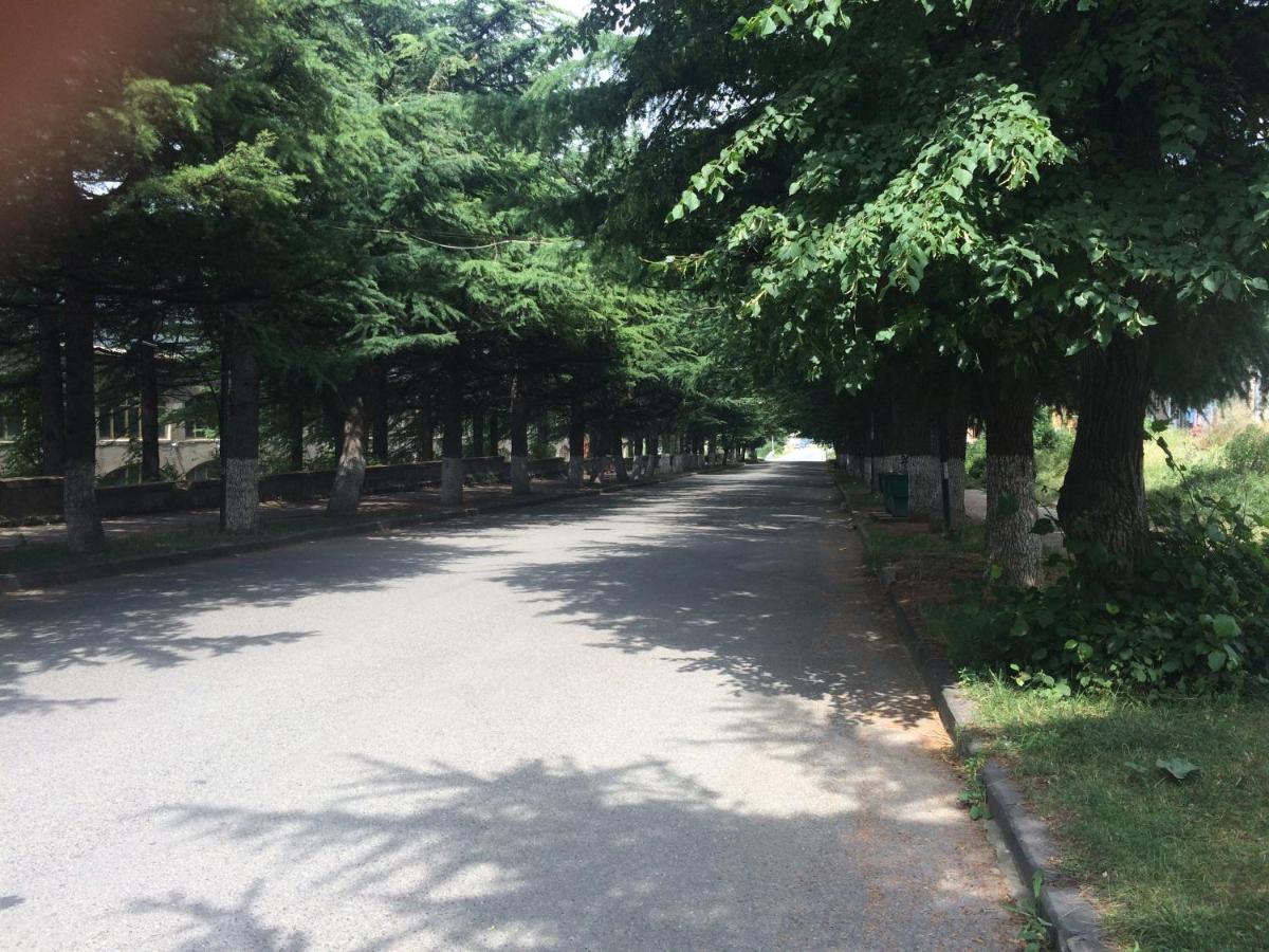 DILIJAN Apartment - Bed and Breakfast