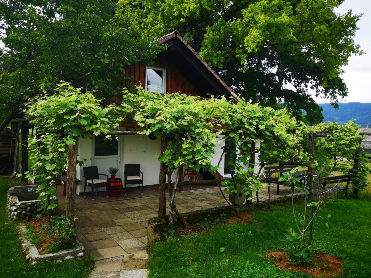 B&B Lesce - Guesthouse ANKL - Bed and Breakfast Lesce