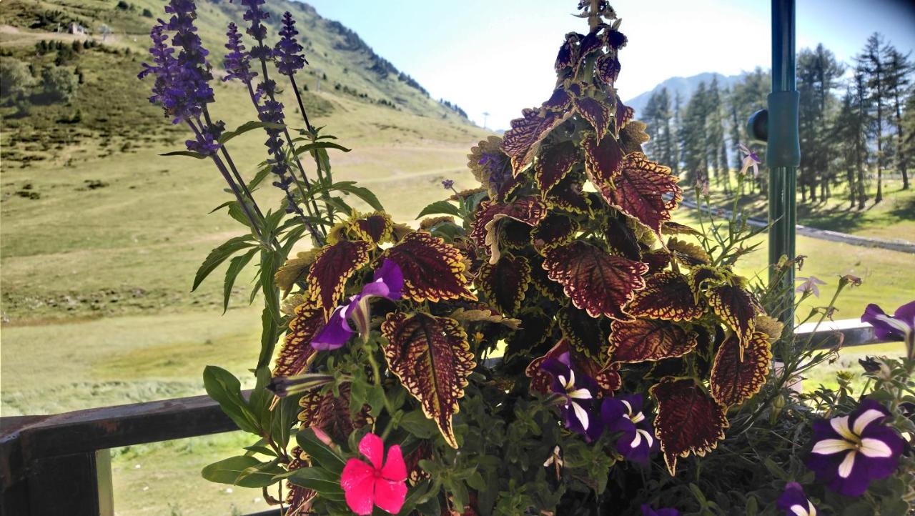 B&B La Mongie - STUDIO en PLEINE MONTAGNE AVEC VUE SUR MARMOTTES - Bed and Breakfast La Mongie