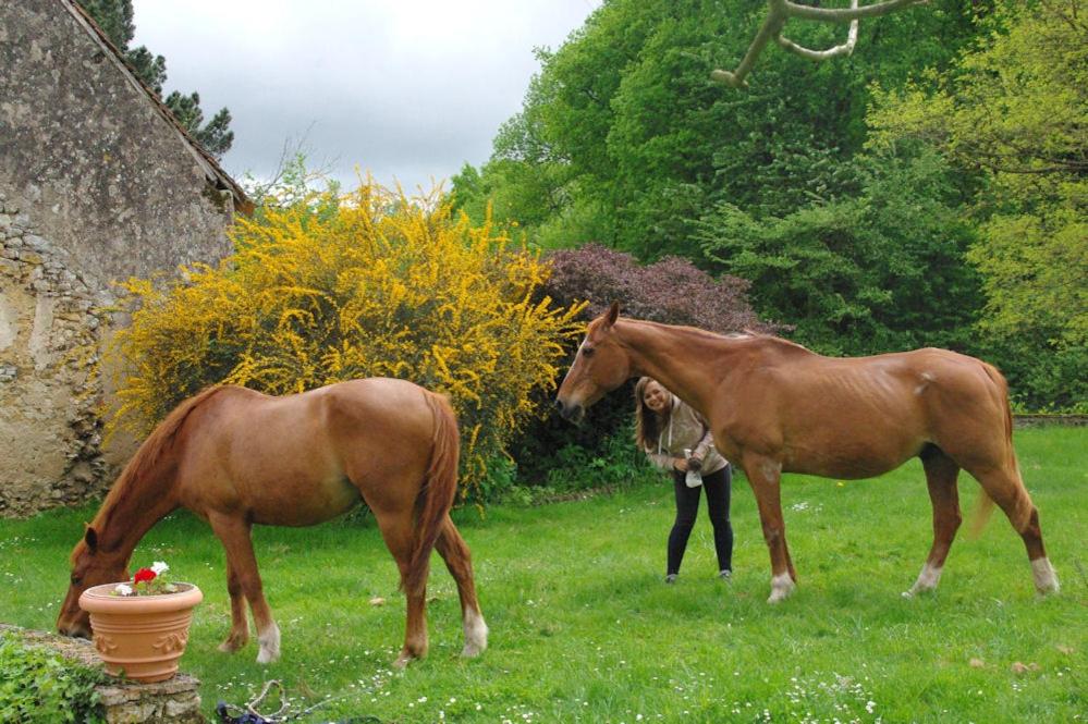Le Tertre - B&B