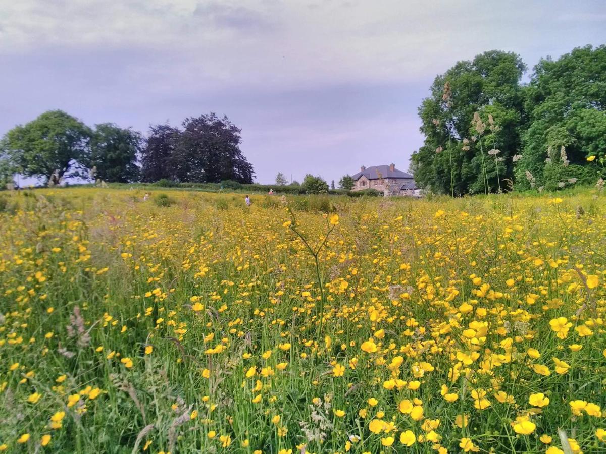 Castletownmoor Clinic & Permaculture Farm - B&B Kells