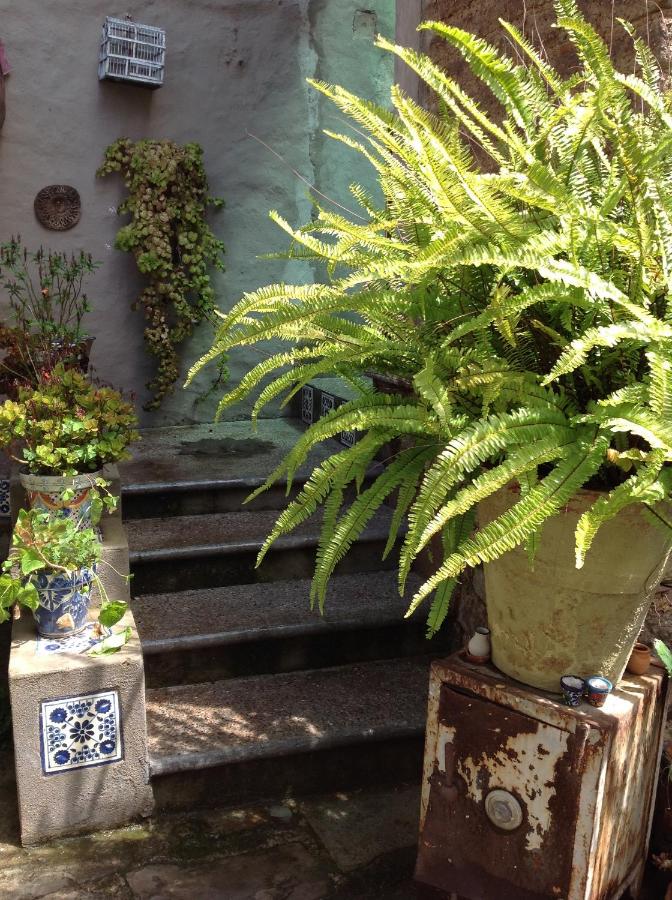 Suite with Garden View