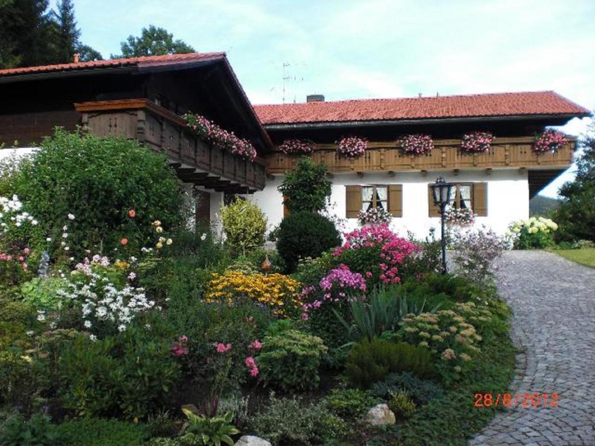 B&B Bodenmais - Landhaus Freiblick - Bed and Breakfast Bodenmais