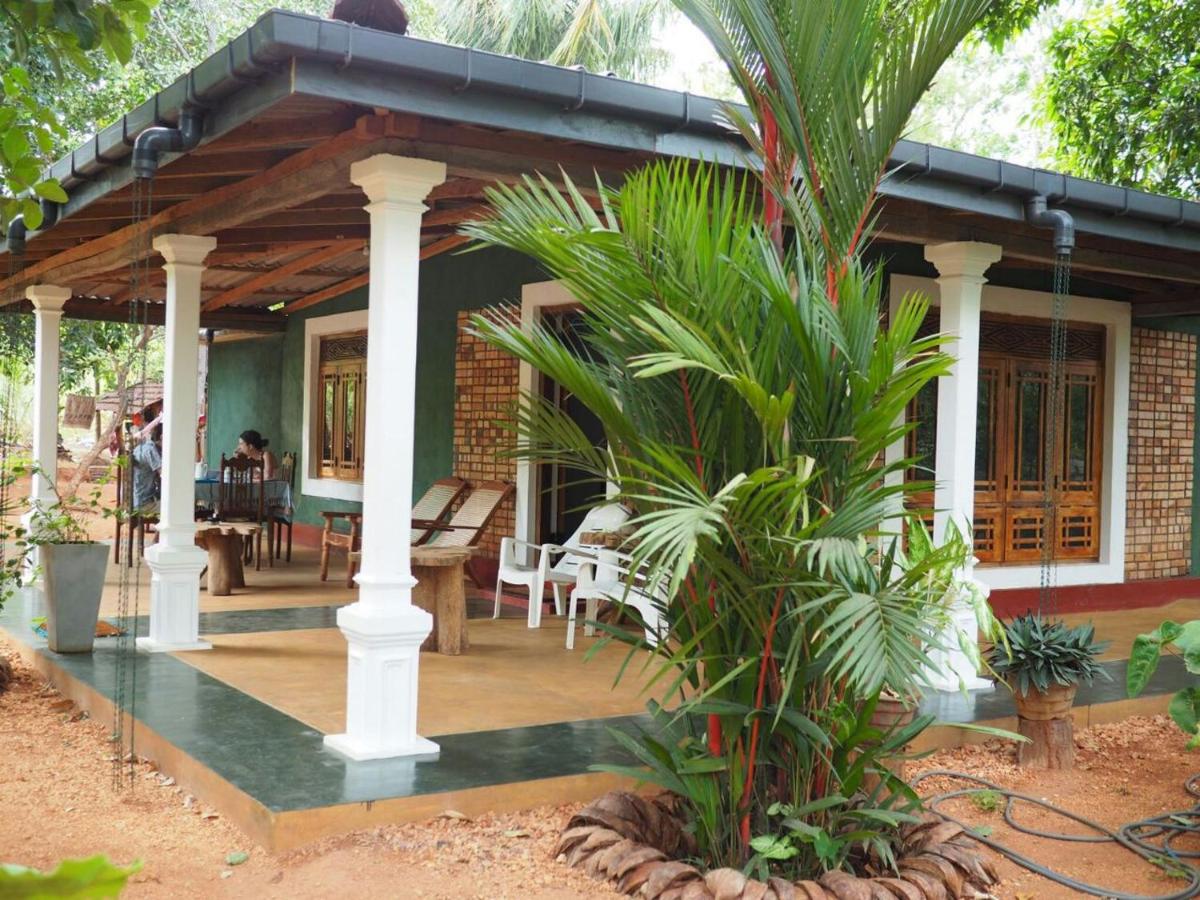 B&B Sigiriya - Thilina Homestay - Bed and Breakfast Sigiriya