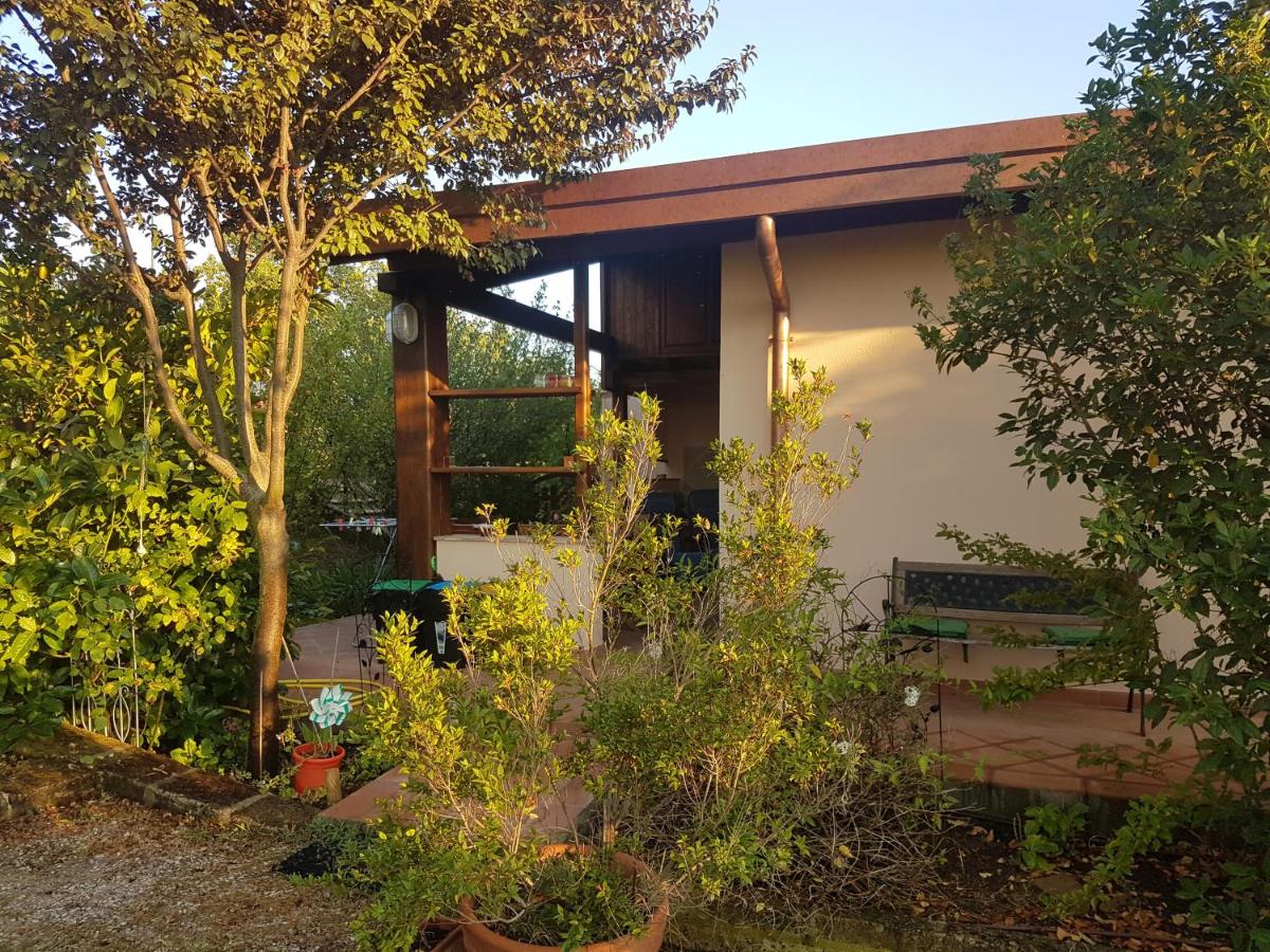 Appartamento con Vista Giardino