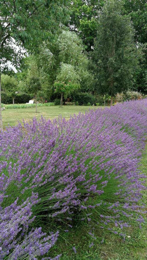 Chambre Familiale Supérieure