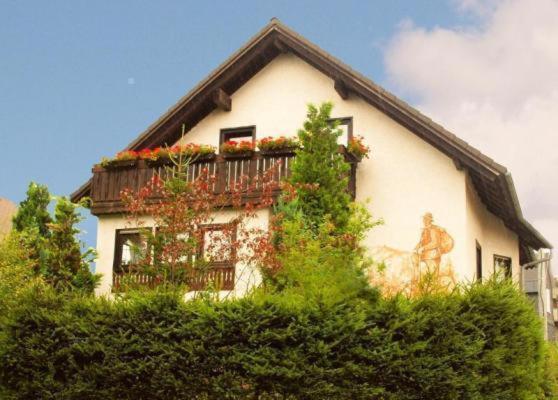 Gemütliche Ferienwohnung im Thüringer Wald, nahe des Rennsteigs - pure Erholung - B&B