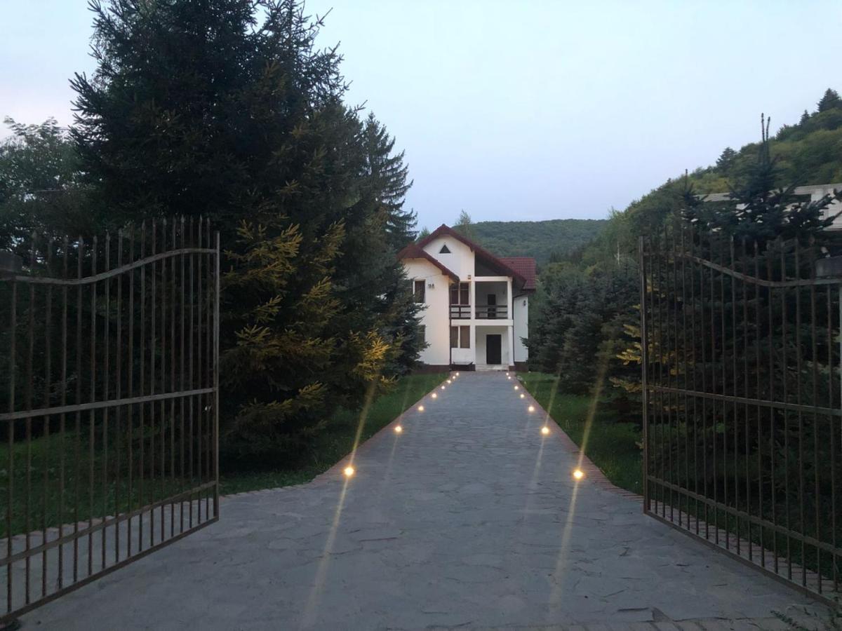 B&B Sâmbăta de Sus - Privilegio 148 Sâmbăta - Bed and Breakfast Sâmbăta de Sus