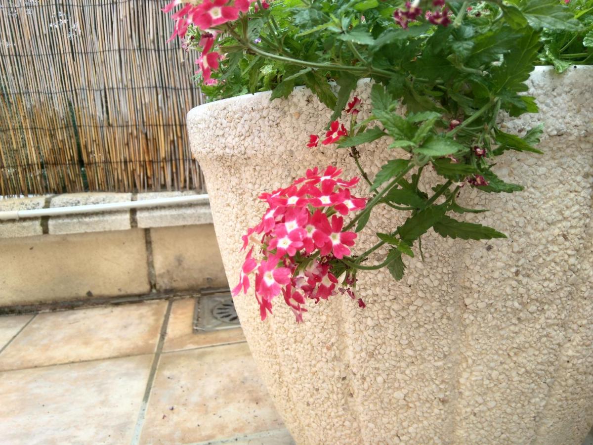 La casa de Marta - B&B Murchante