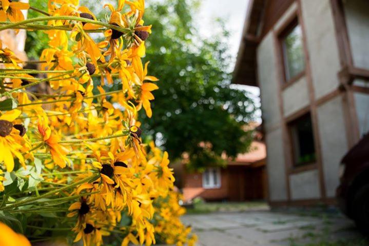 ekoLOKUM - kameralnie, blisko centrum - Bed and Breakfast Ostróda
