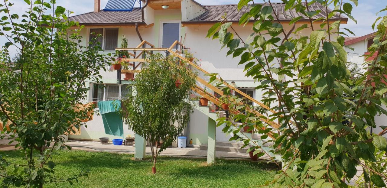 Vila Alexandra - B&B
