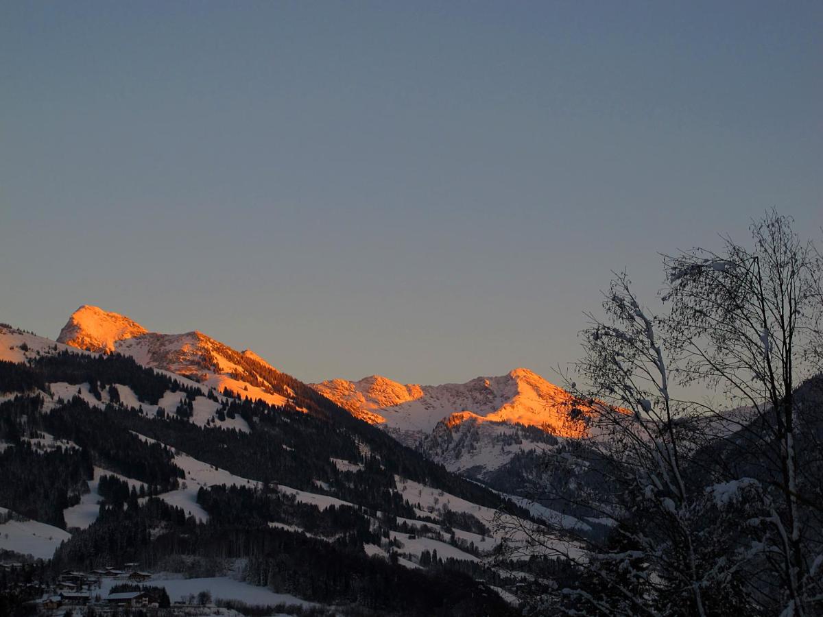 Apartment Haus Schatz - B&B Kitzbühel