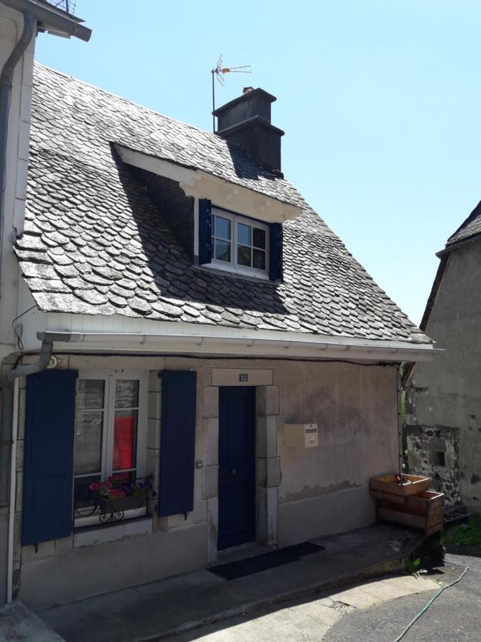 maison cosy proche de la station de ski du lioran 4 personnes - Ferienwohnung