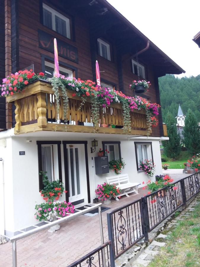 Anis - Ferienwohnung